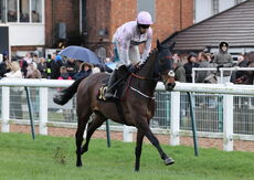 Betano Handicap Hurdle