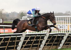 Betano Handicap Hurdle