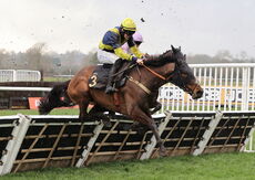 Betano Handicap Hurdle