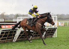 Betano Handicap Hurdle