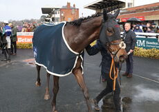 Betano Handicap Hurdle