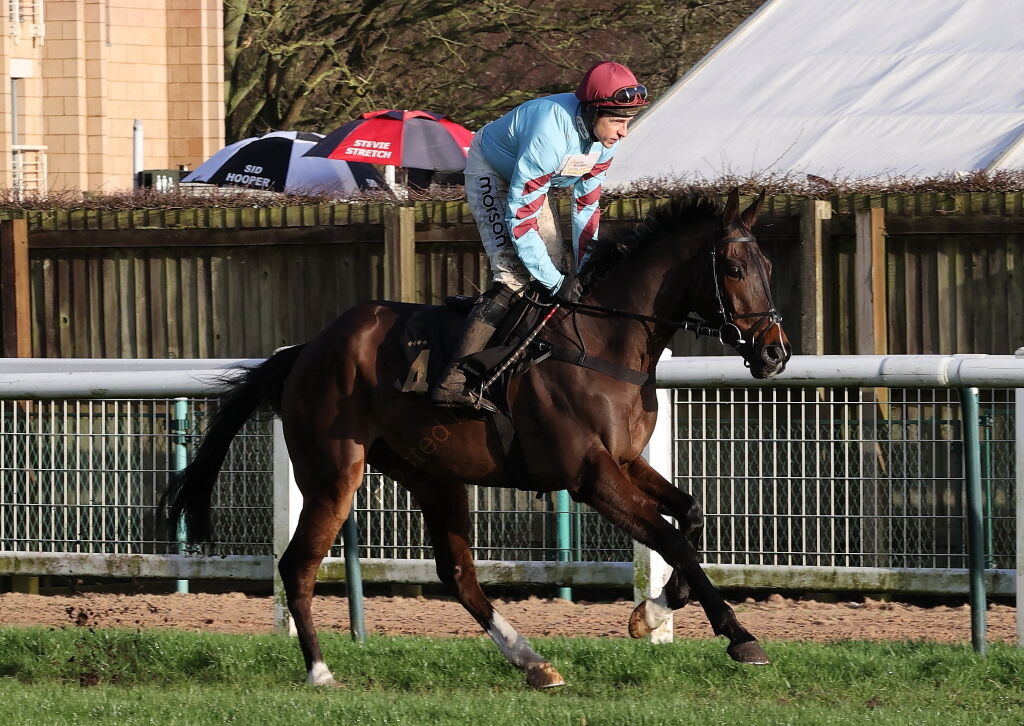 JCB Hydradig Handicap Hurdle