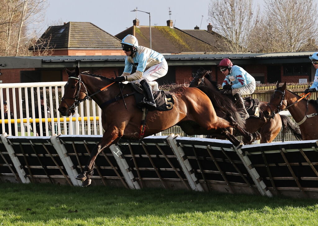 JCB Hydradig Handicap Hurdle