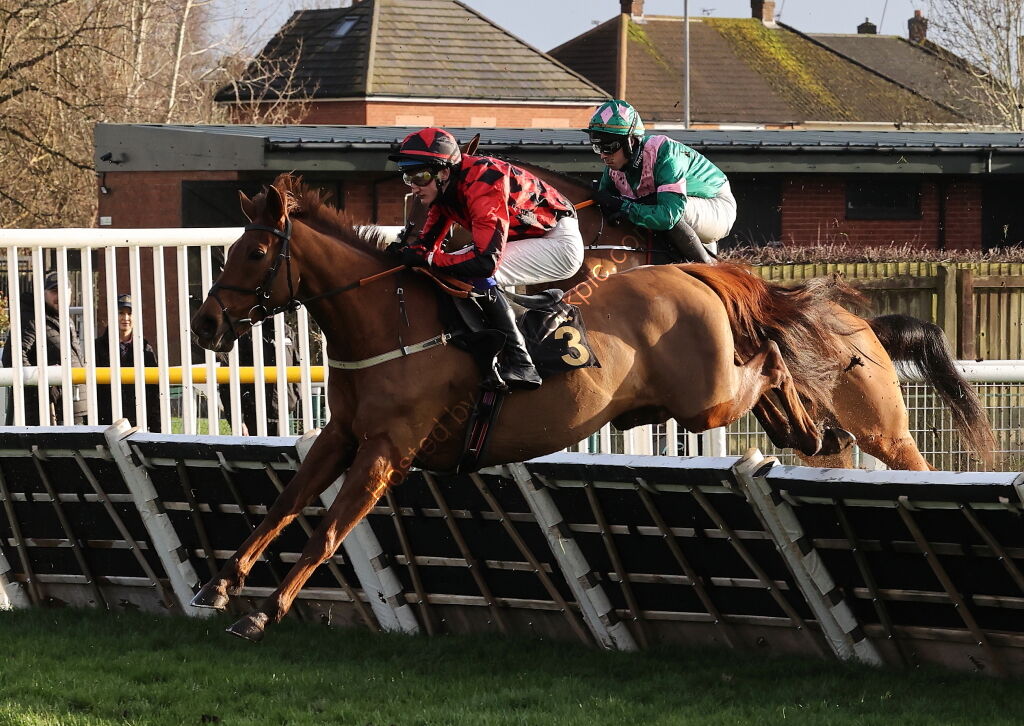 JCB Hydradig Handicap Hurdle