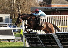 JCB Hydradig Handicap Hurdle