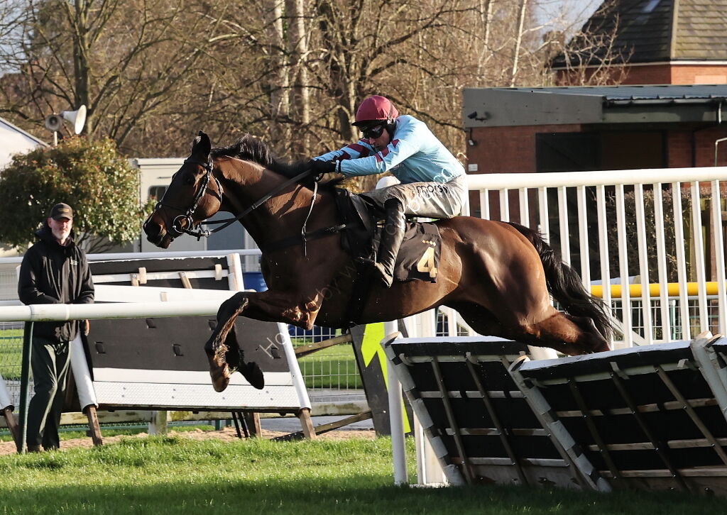 JCB Hydradig Handicap Hurdle