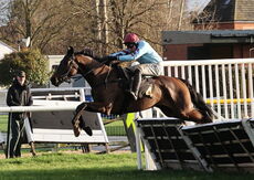JCB Hydradig Handicap Hurdle