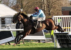 JCB Hydradig Handicap Hurdle