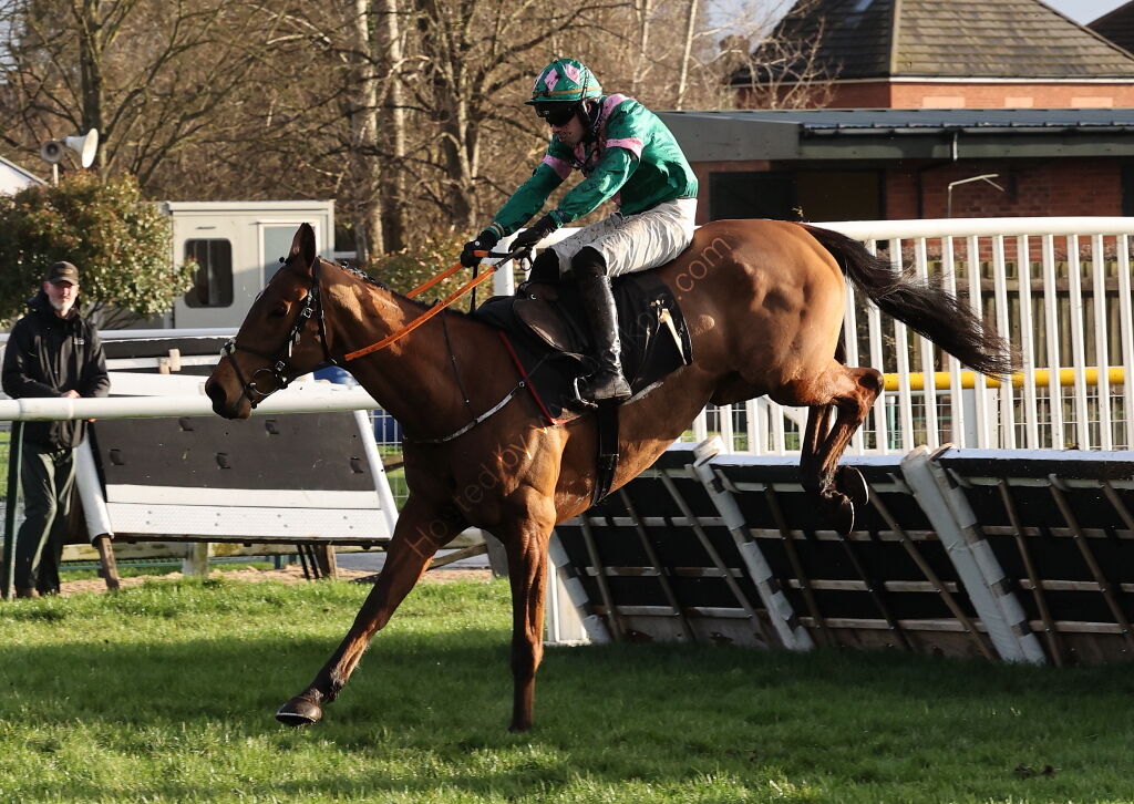 JCB Hydradig Handicap Hurdle