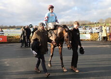 JCB Hydradig Handicap Hurdle