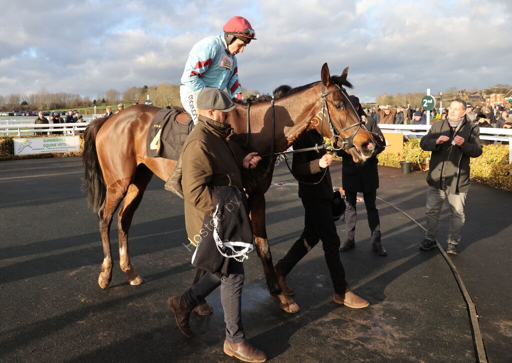 JCB Hydradig Handicap Hurdle