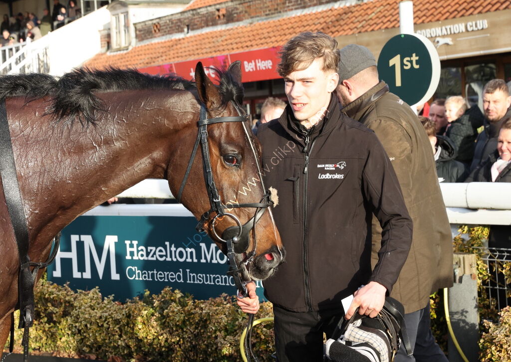 JCB Hydradig Handicap Hurdle