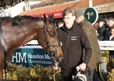 JCB Hydradig Handicap Hurdle