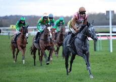 Betano Mares' Open NH Flat Race