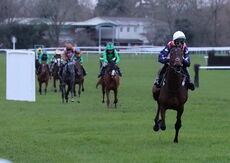 Betano Mares' Open NH Flat Race