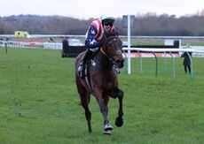 Betano Mares' Open NH Flat Race