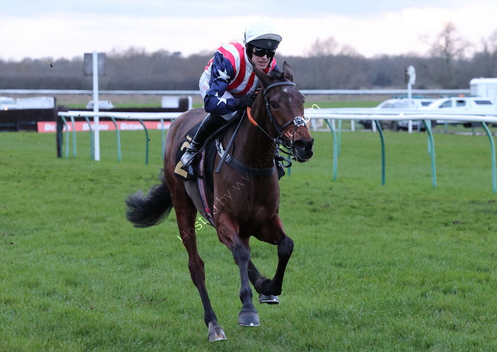 Betano Mares' Open NH Flat Race