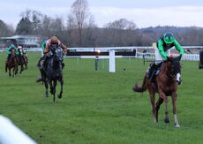 Betano Mares' Open NH Flat Race