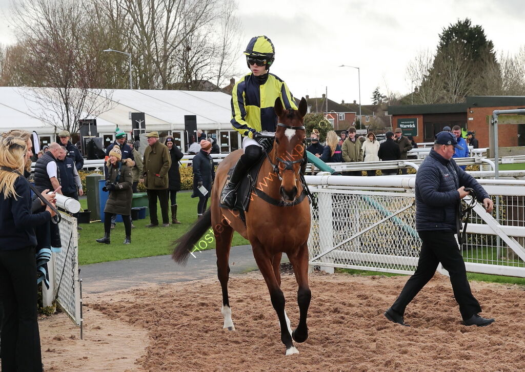 JCB "Hands and Heels" H'cap Hurdle