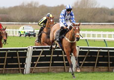 JCB "Hands and Heels" H'cap Hurdle