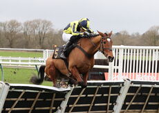 JCB "Hands and Heels" H'cap Hurdle