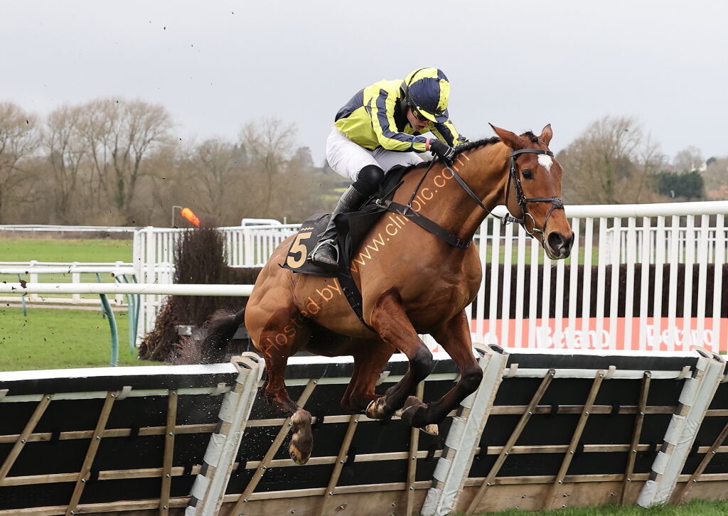 JCB "Hands and Heels" H'cap Hurdle