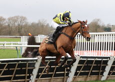 JCB "Hands and Heels" H'cap Hurdle