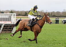 JCB "Hands and Heels" H'cap Hurdle