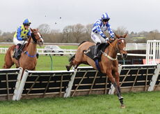 JCB "Hands and Heels" H'cap Hurdle