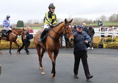 JCB "Hands and Heels" H'cap Hurdle