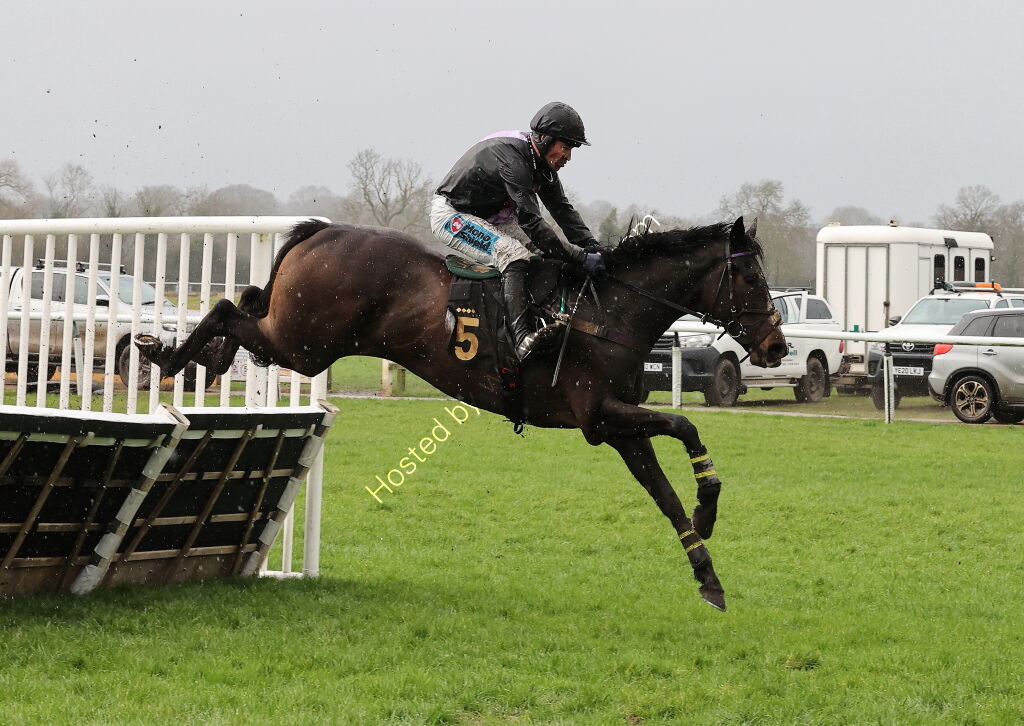 Aston Villa Foundation EBF "NH" Novices' Hurdle