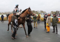 Aston Villa Foundation EBF "NH" Novices' Hurdle