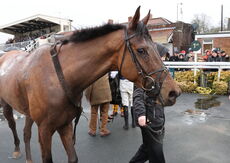 Aston Villa Foundation EBF "NH" Novices' Hurdle