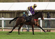 JCB Fastrac Handicap Chase