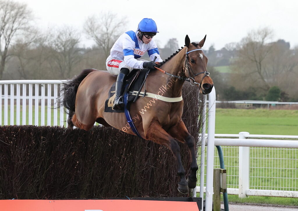 JCB Fastrac Handicap Chase