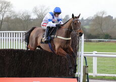 JCB Fastrac Handicap Chase