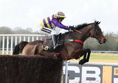 JCB Fastrac Handicap Chase
