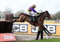 JCB Fastrac Handicap Chase
