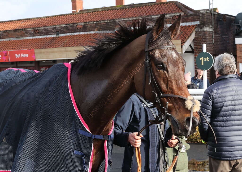 JCB Fastrac Handicap Chase