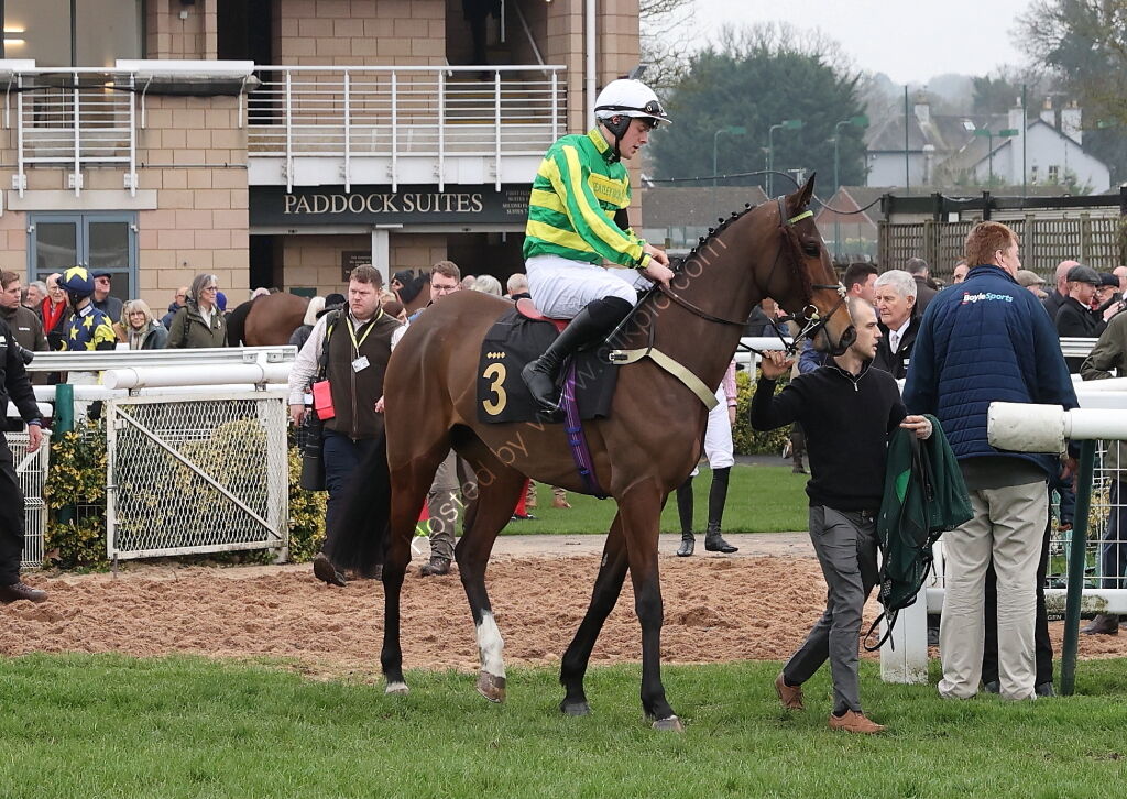 Oddschecker Conditional Jockeys Handicap Hurdle