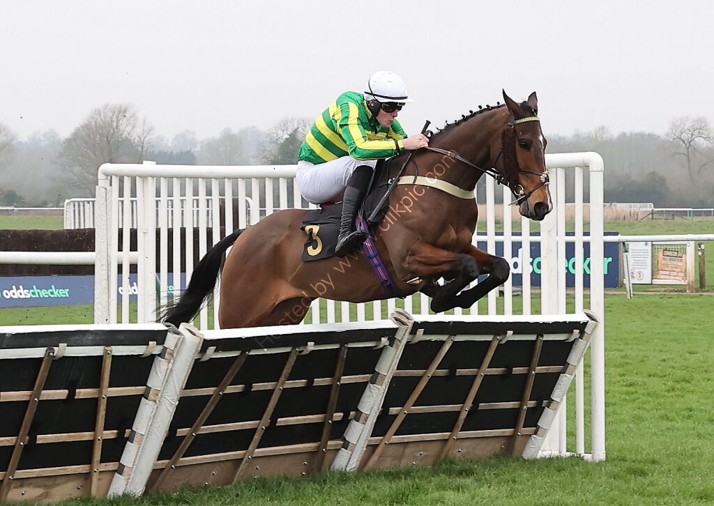 Oddschecker Conditional Jockeys Handicap Hurdle