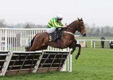 Oddschecker Conditional Jockeys Handicap Hurdle