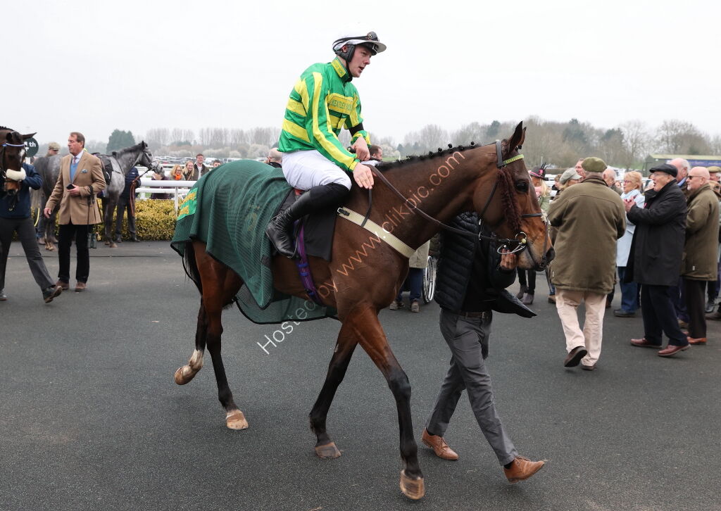 Oddschecker Conditional Jockeys Handicap Hurdle