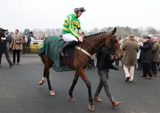 Oddschecker Conditional Jockeys Handicap Hurdle