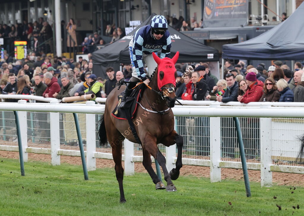 Oddschecker Novices  Hurdle (Div 1)