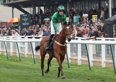 Oddschecker Novices  Hurdle (Div 2)