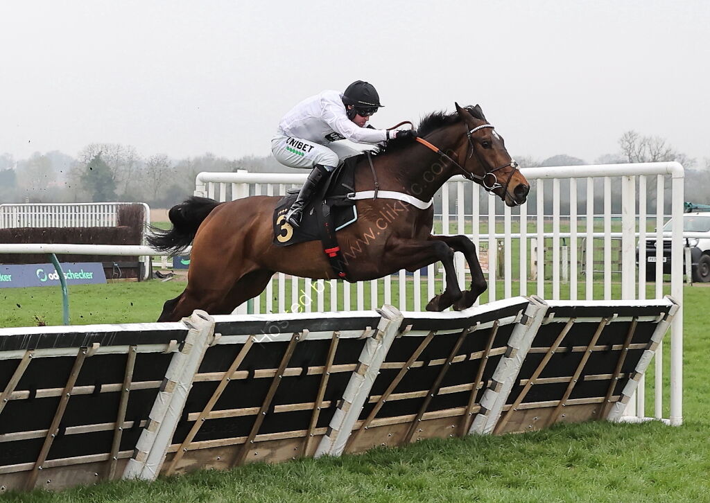 Oddschecker Novices  Hurdle (Div 2)