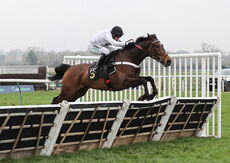 Oddschecker Novices  Hurdle (Div 2)