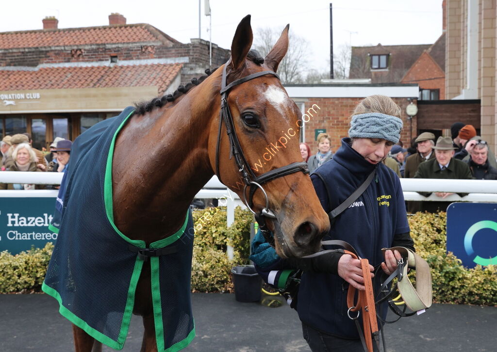 Oddschecker Novices  Hurdle (Div 2)