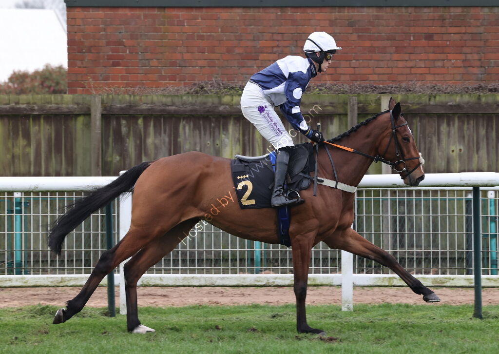 Royal Pug Handicap Hurdle